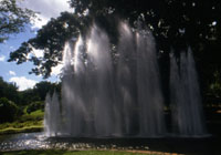 Darwin – Botanical Gardens