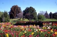 Adelaide Park Lands  Veale Gardens