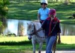 FOUR OAKS FARM