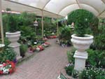 BLACKBERRY NURSERY & GIFTWARE