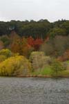 MOUNT LOFTY BOTANIC GARDEN