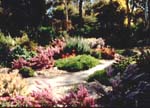 WITTUNGA BOTANIC GARDEN