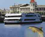 DOLPHIN EXPLORER CRUISES