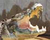 CROCODYLUS PARK