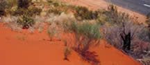 Oodnadatta Track